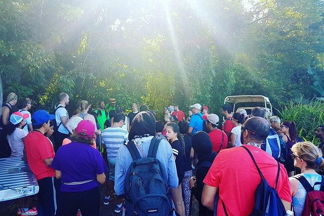 Volcano Caldera (Mt. Liamuiga) Trek / Hike - The crater is the day’s physical reward