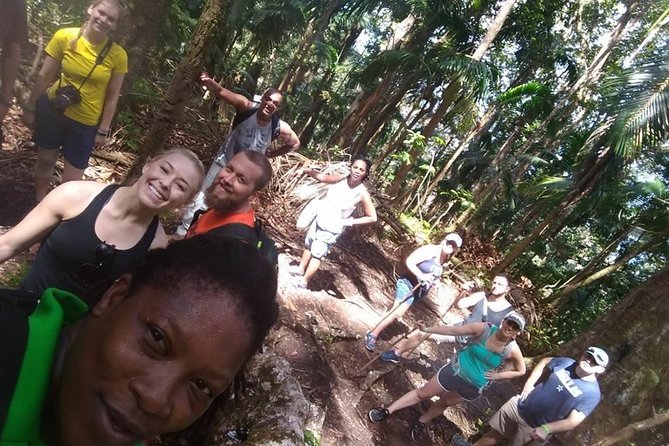 Volcano Caldera (Mt. Liamuiga) Trek / Hike - The $90 price depends on your pickup plan