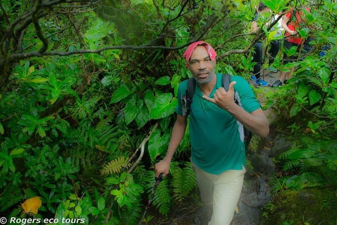 Volcano Caldera (Mt. Liamuiga) Trek / Hike - Weather and fitness should guide your decision
