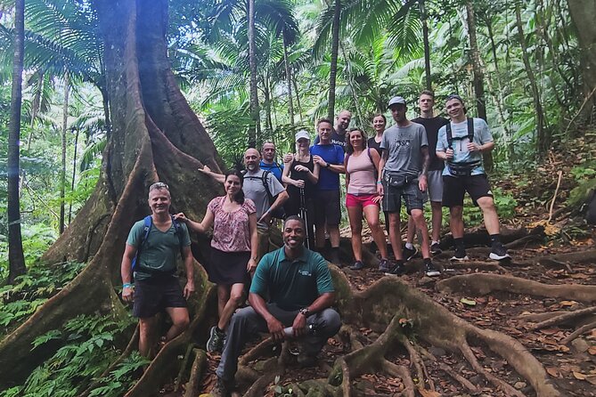 Volcano Caldera (Mt. Liamuiga) Trek / Hike - Who will get the most from this tour?