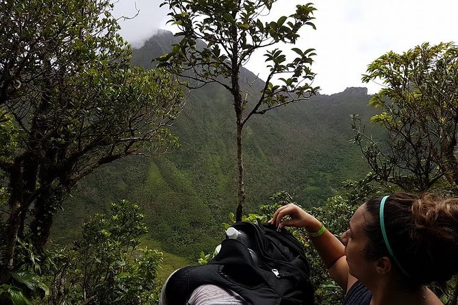 Volcano Crater Hiking Tour in St Kitts - The descent is where preparation matters most
