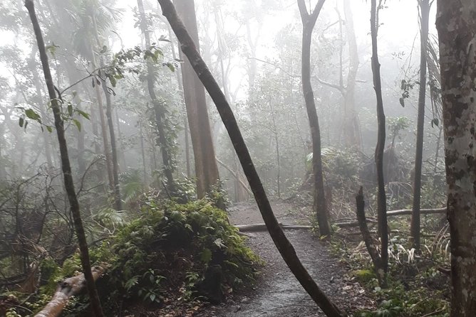 Volcano Crater Hiking Tour in St Kitts - A guide can make or break the day