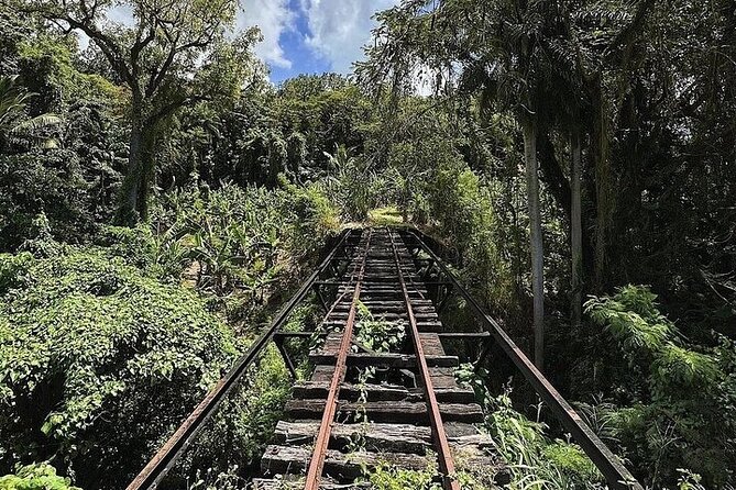 Wingfield Rainforest Adventure Hike and Caribelle Batik stop - Booking and cancellation advice