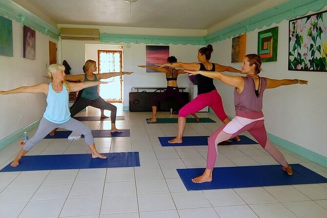 Yoga and Meditation, Group or Private Sessions in Nevis - Public class or private session?