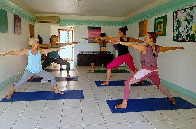 Yoga and Meditation, Group or Private Sessions in Nevis - Who will enjoy this most?
